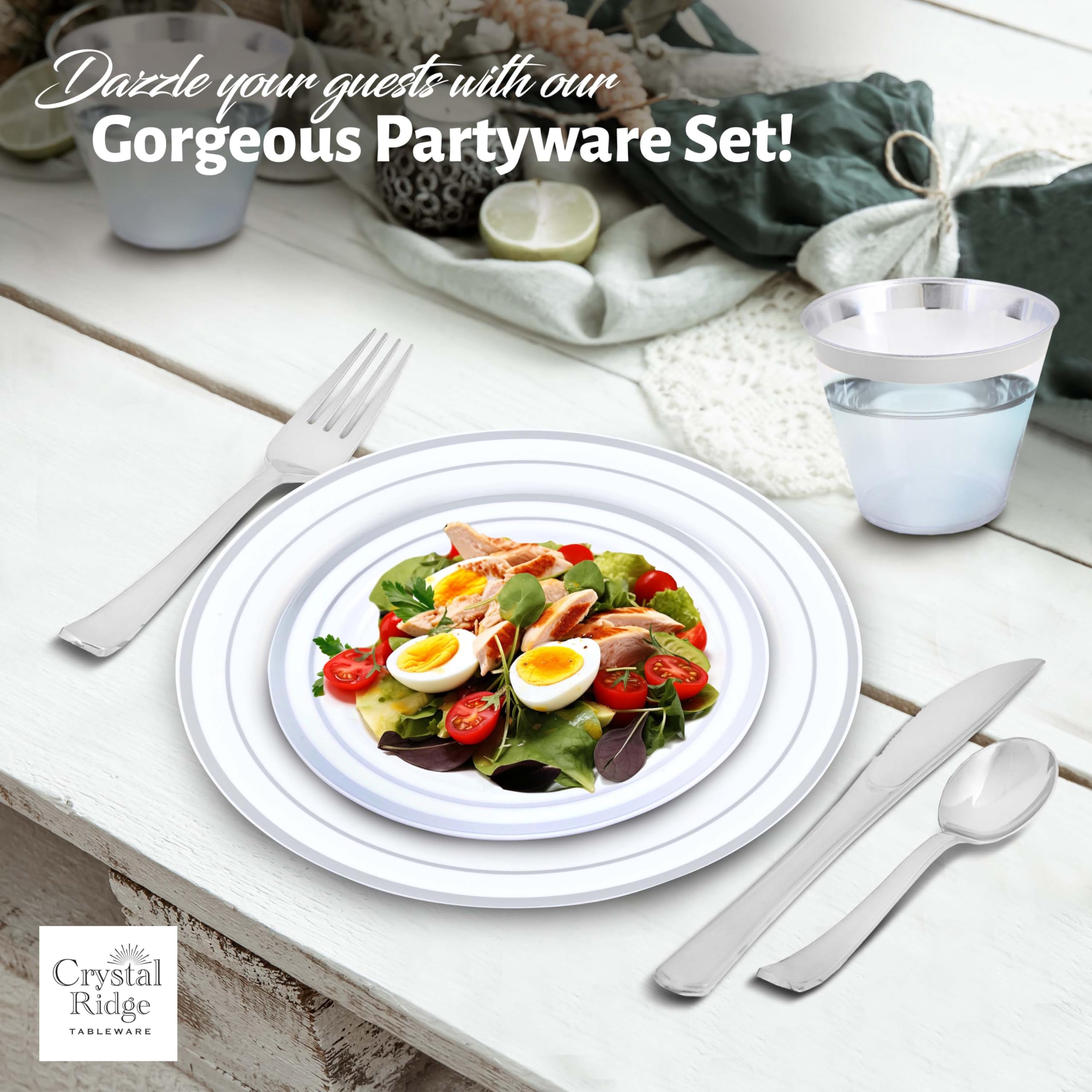 Amazon.com: Crystal Ridge Tableware 600-Piece Premium Plastic